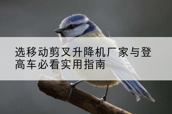 秀峰电动升降机厂家-选移动剪叉升降机厂家与登高车必看实用指南