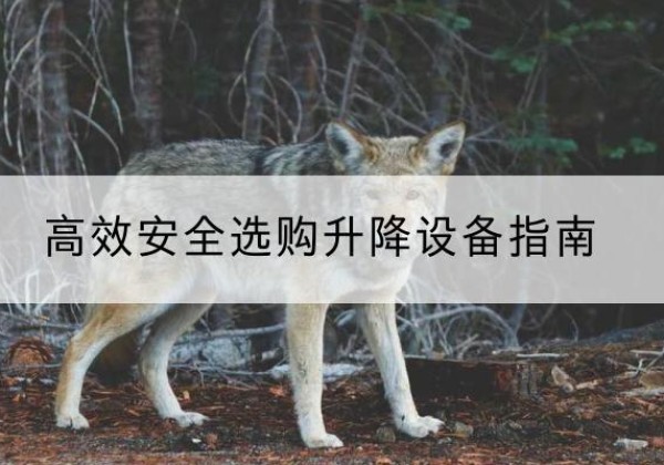 秀峰升降货梯厂家推荐-*安全选购升降设备指南